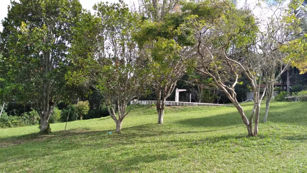 Ambiente Acolhedor - Clínica Nova Opção